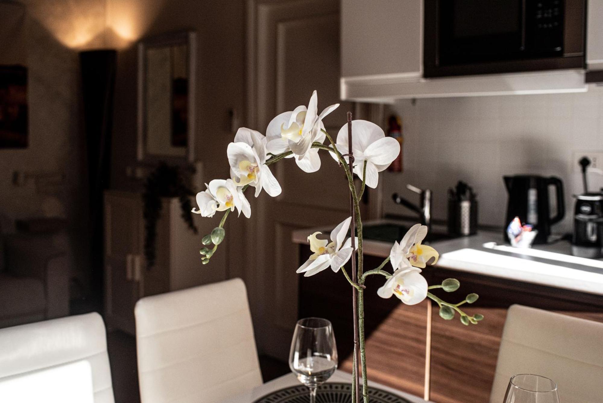 Spanish Steps Apartment & Terrace Ρώμη Εξωτερικό φωτογραφία